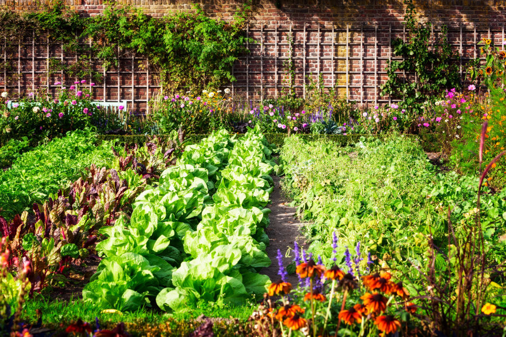 Crop rotation in an organic growing space